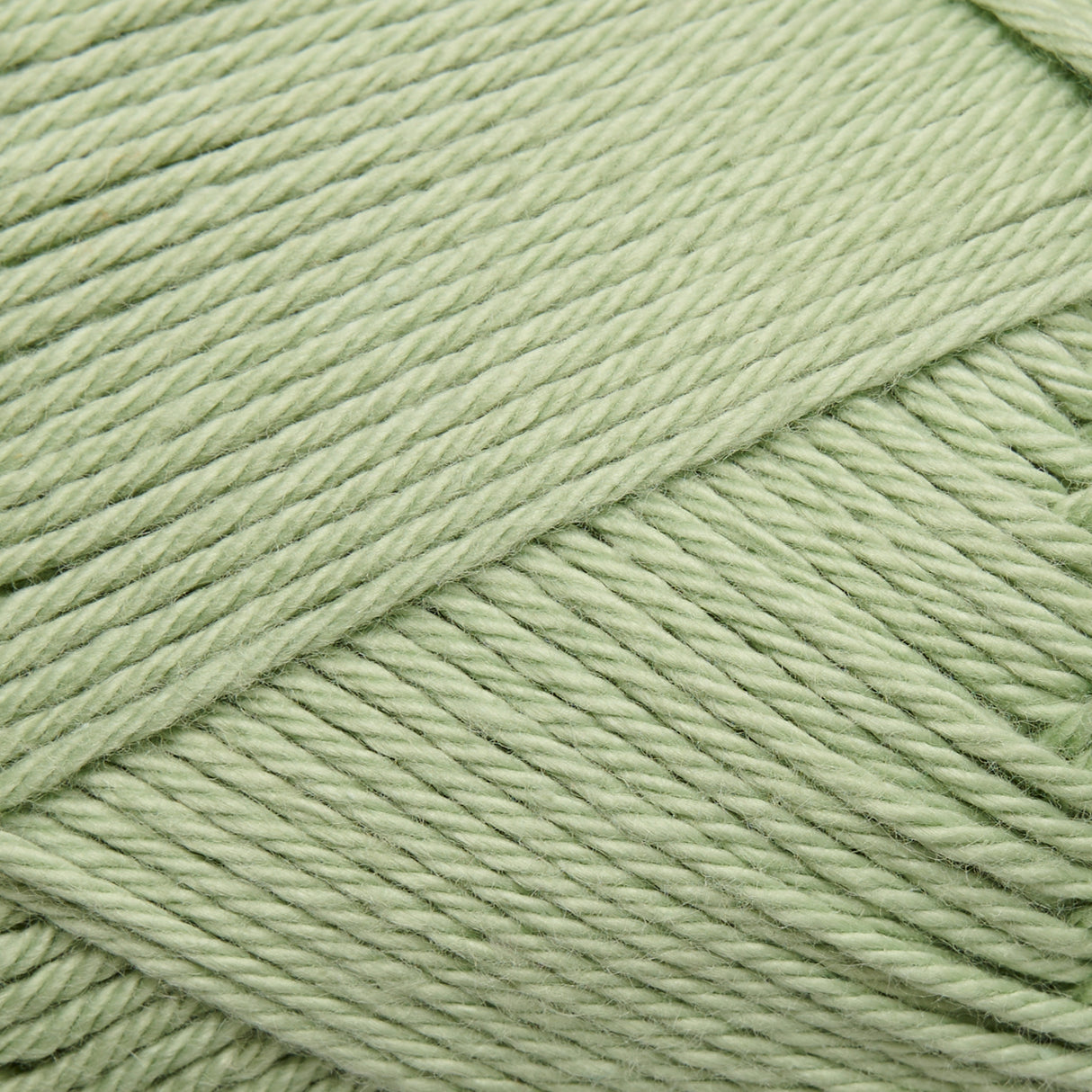 ANYDAY Cotton 8/4 Colorbag 10-sztuk/op.