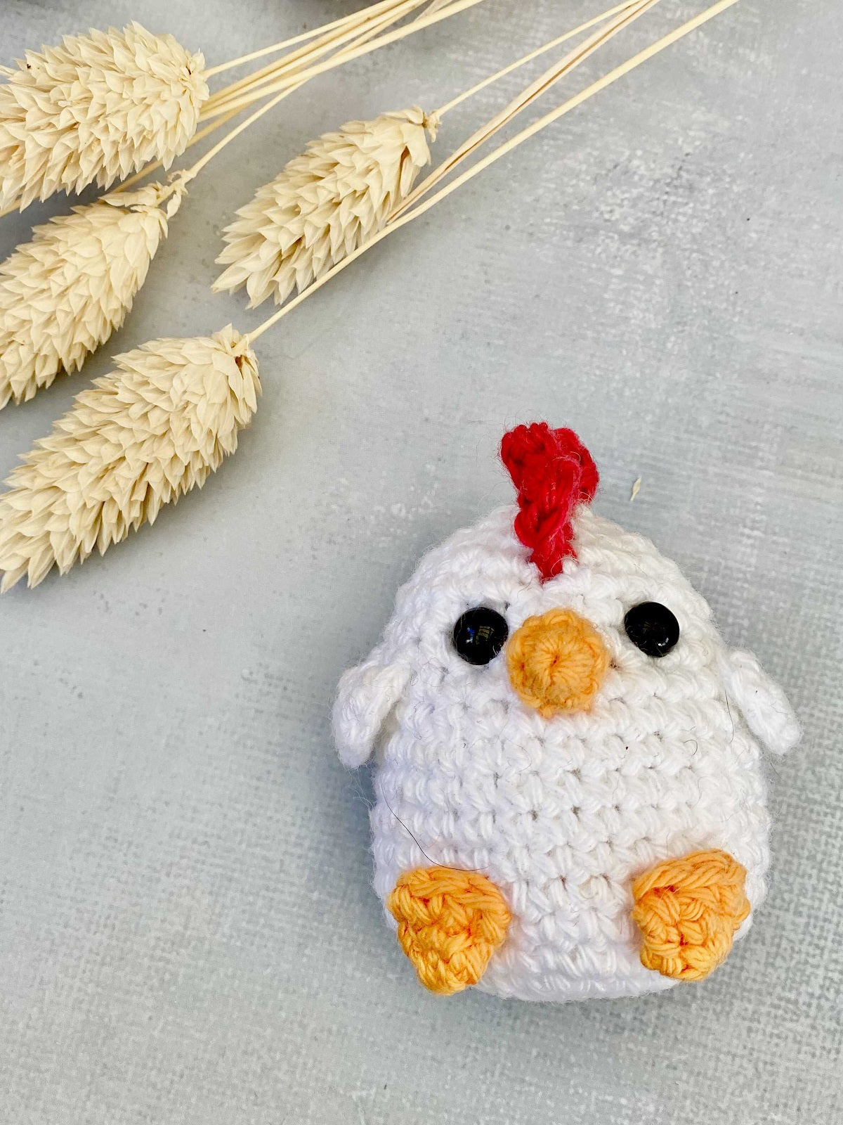 Kogucik Rocky - wzór