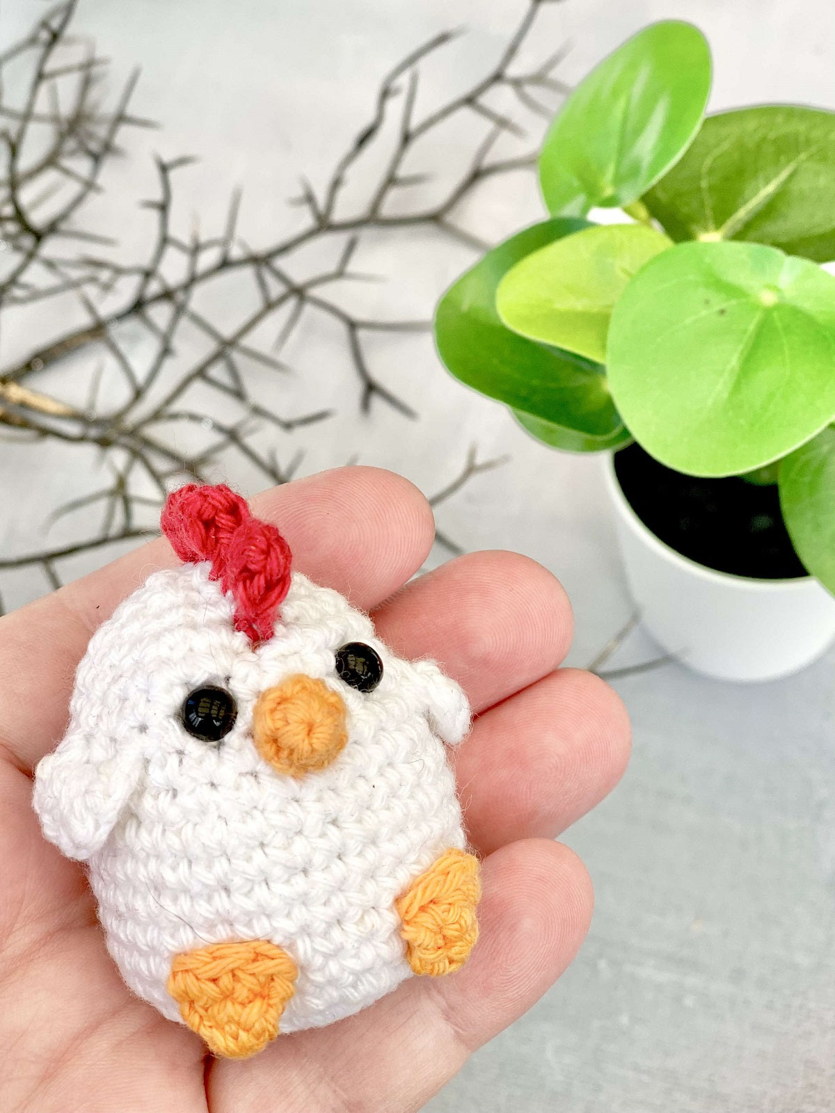 Kogucik Rocky - wzór