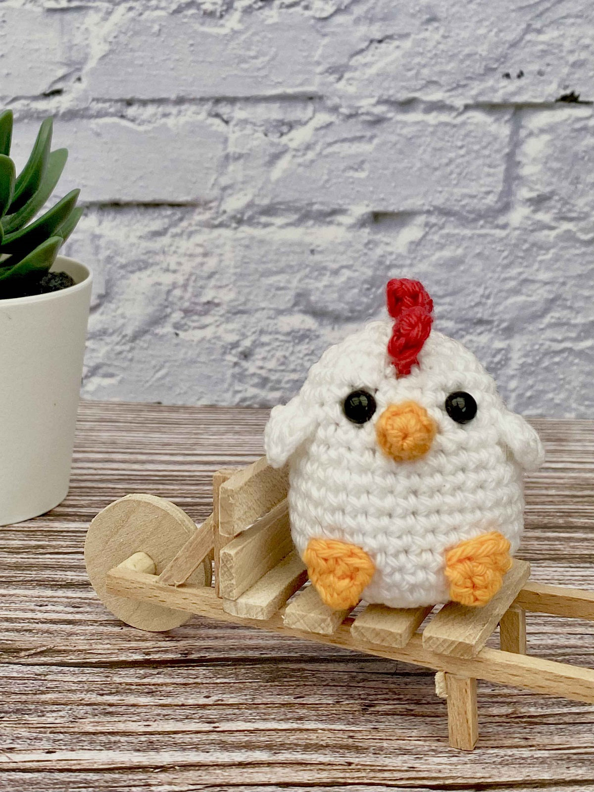 Kogucik Rocky - wzór