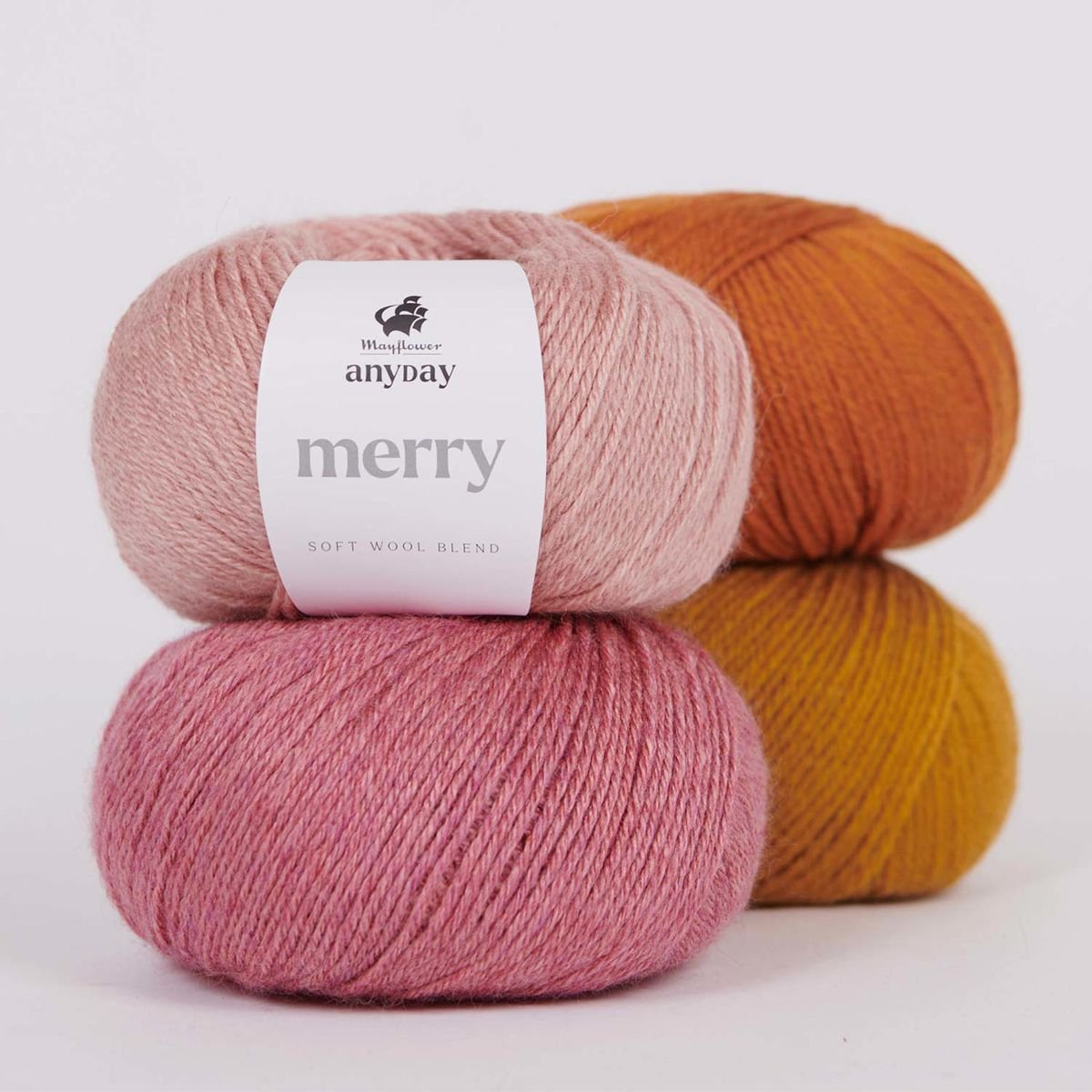 Mayflower Research メイフラワー ザ・メイフラワー裸苗 - The Mayflower (Austilly) – David